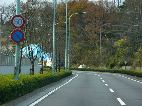 P1120461.jpg