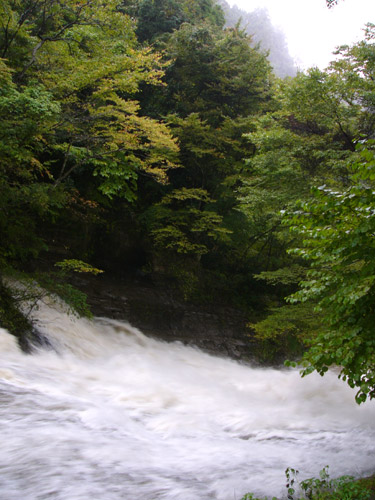 shizen44.jpg